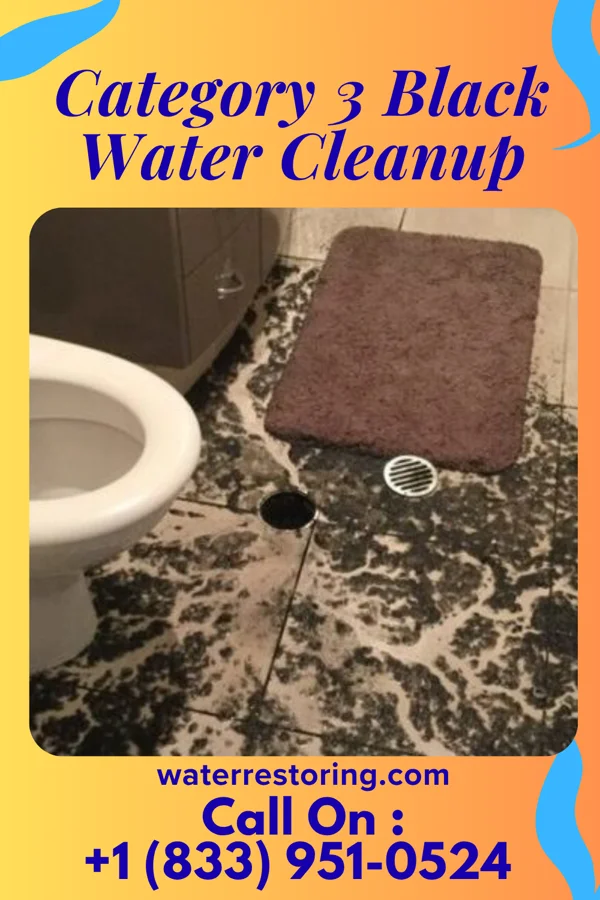 Category 3 Black Water Cleanup in Tangent, OR