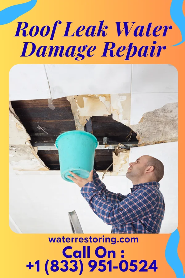 Roof Leak Water Damage Repair in Tangent, OR